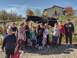 Wycieczka do stadniny koni SOGNARE na Szczereżu